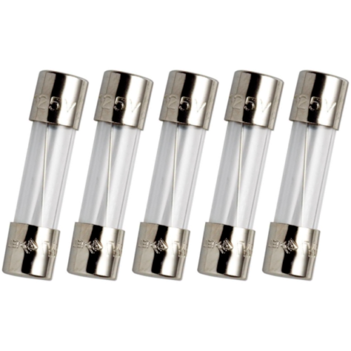 5 Pcs Fast-Blow Fuse 1A 250V Glass Fuses 5 x 20 mm (1 Amp) | US Ship